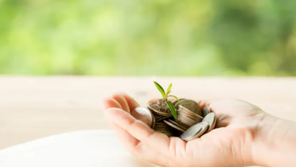 Peace Finance: Building a Calmer, Smarter Financial Future 2025