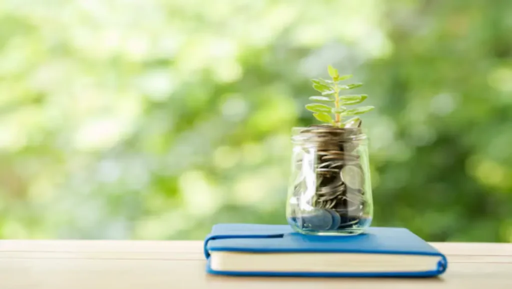 Peace Finance: Building a Calmer, Smarter Financial Future 2025